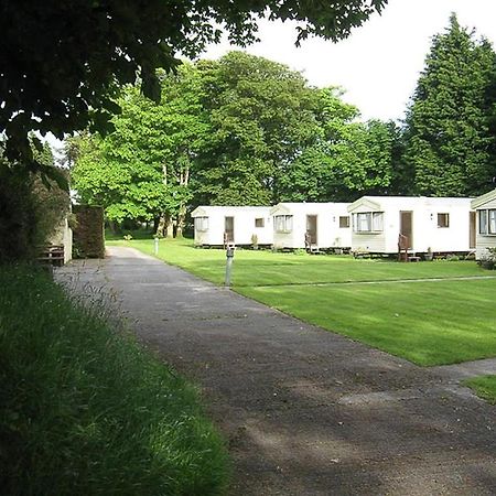 Cosy Caravan At Blackmoor Farm Ludchurch Kültér fotó
